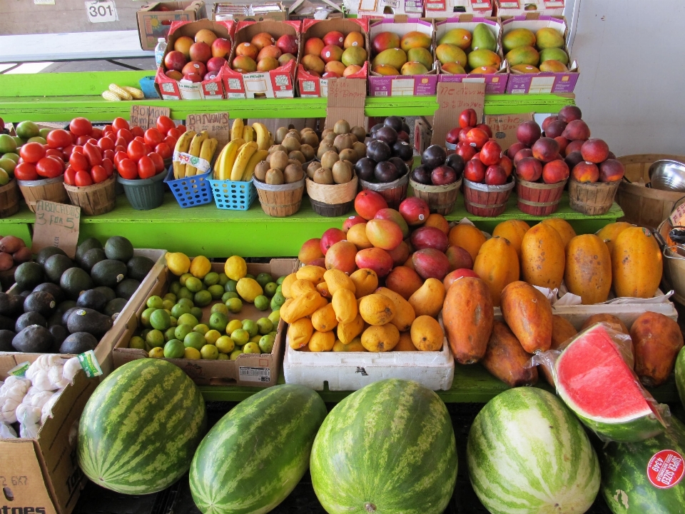 Anlage bauernhof frucht stadt