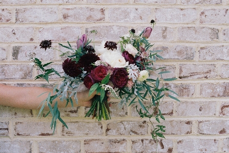 Plant flower bouquet wedding Photo