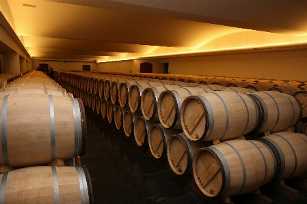 Wood wine auditorium france Photo