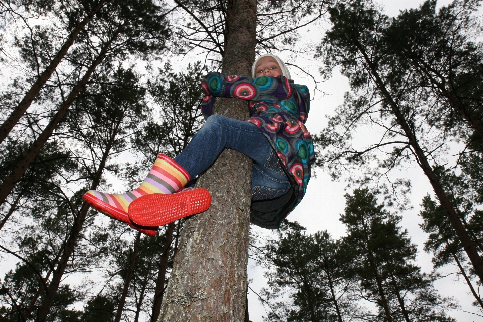 Tree outdoor winter girl