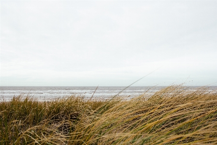 Beach landscape sea coast Photo