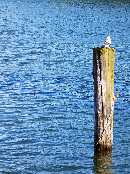 Meer küste wasser ozean