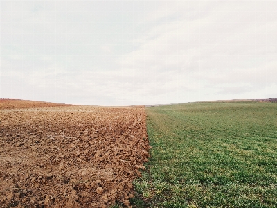 Landscape grass horizon sky Photo