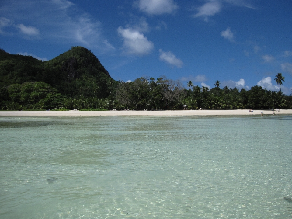 Beach sea coast water