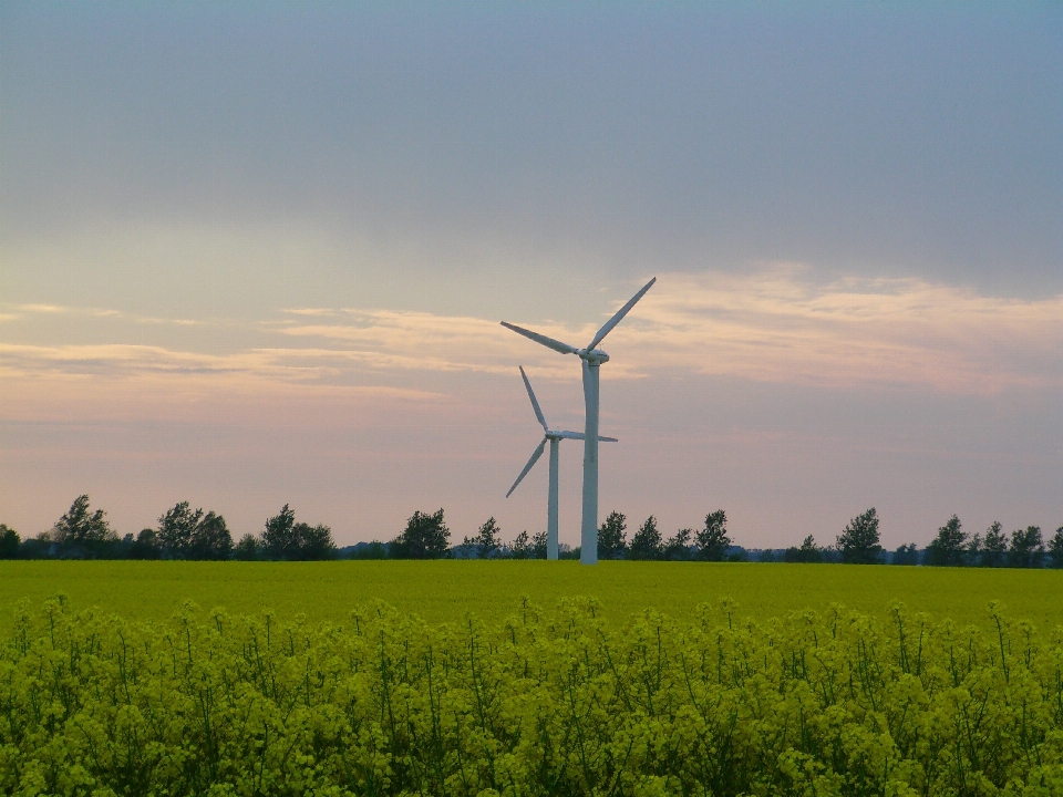 Landschaft natur horizont anlage