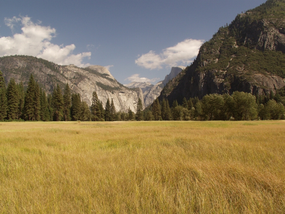 Landscape grass wilderness mountain