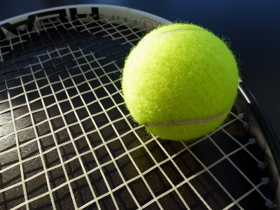 Sport leisure sports equipment tennis Photo