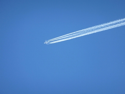 Wing sky fly travel Photo