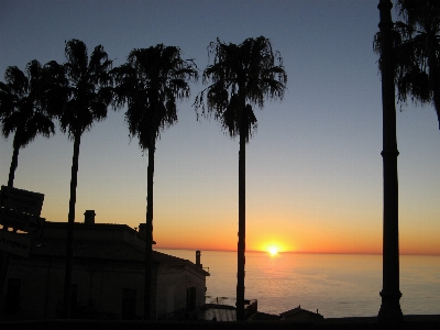 Foto Mar árbol horizonte cielo