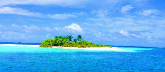 Beach sea coast ocean Photo