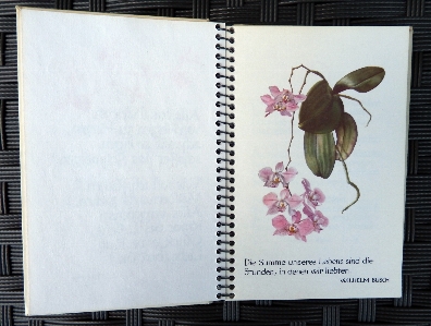 Notebook flower advertising diary Photo