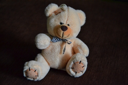 Bear gift toy teddy Photo