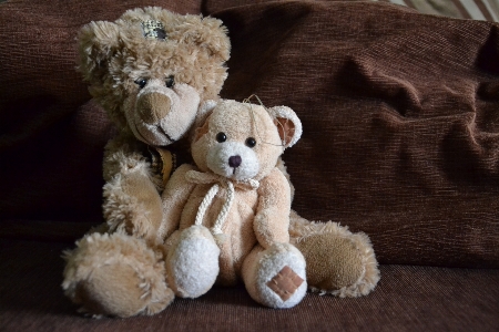 Bear gift toy teddy Photo