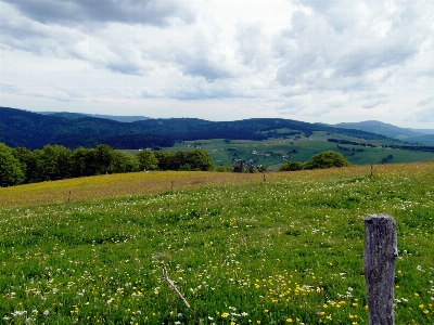 Landschaft natur gras horizont Foto