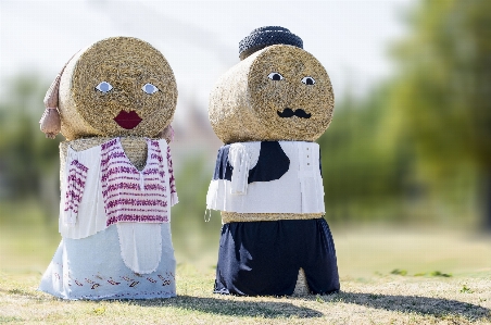 Bale grain harvest child Photo