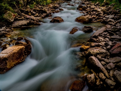 Landscape water nature forest Photo