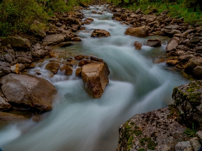 Landscape water nature forest Photo