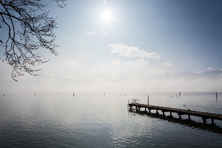 Landscape sea tree water Photo