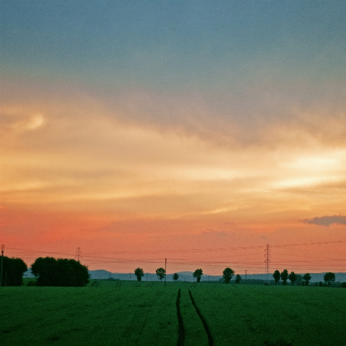 Paesaggio natura erba orizzonte