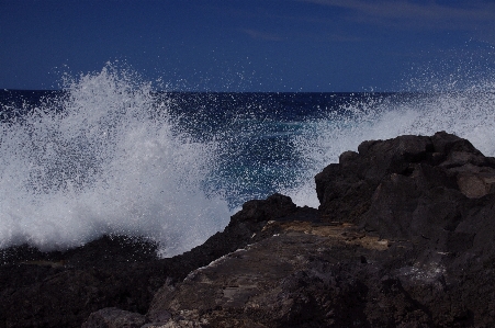 Beach sea coast water Photo