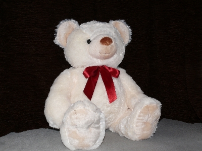 White bear fur toy Photo