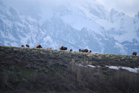 Landscape wilderness mountain hill Photo