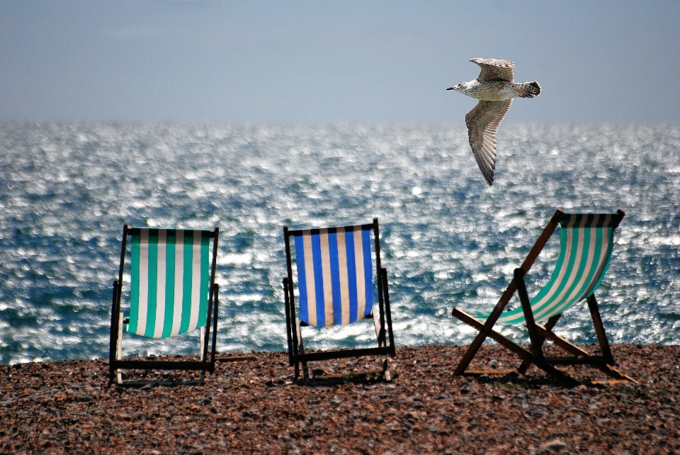 Beach sea ocean wind