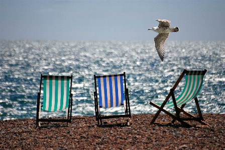 Beach sea ocean wind Photo