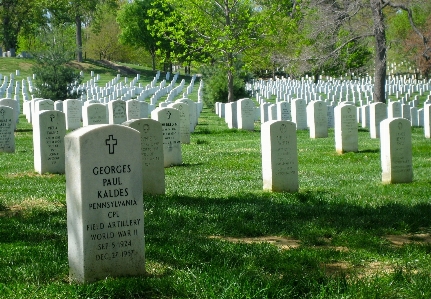 Photo Cimetière grave mémorial guerre