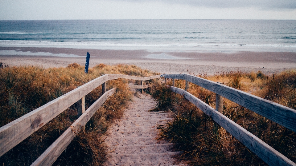 Beach sea coast water