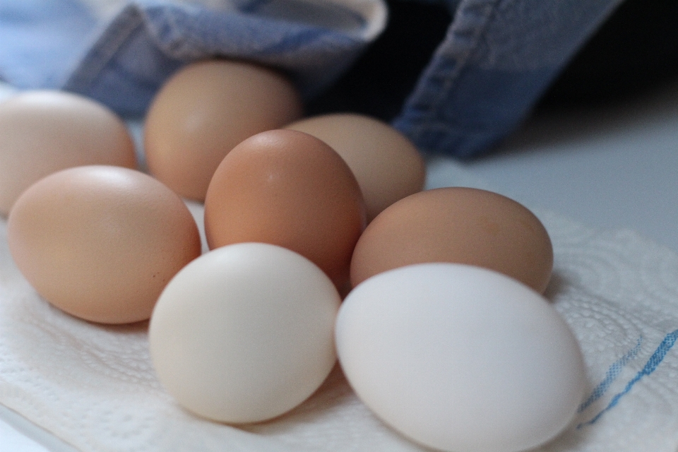 Alimento natural desayuno huevo