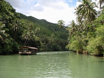 Tree water nature outdoor Photo