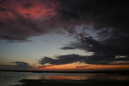 Beach sea coast ocean Photo