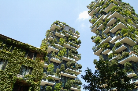 Tree architecture sky mansion Photo