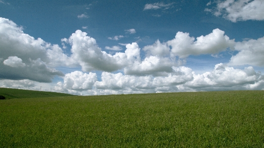 風景 自然 草 地平線 写真