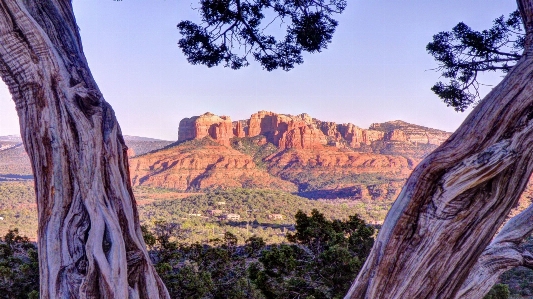 風景 木 自然 rock 写真