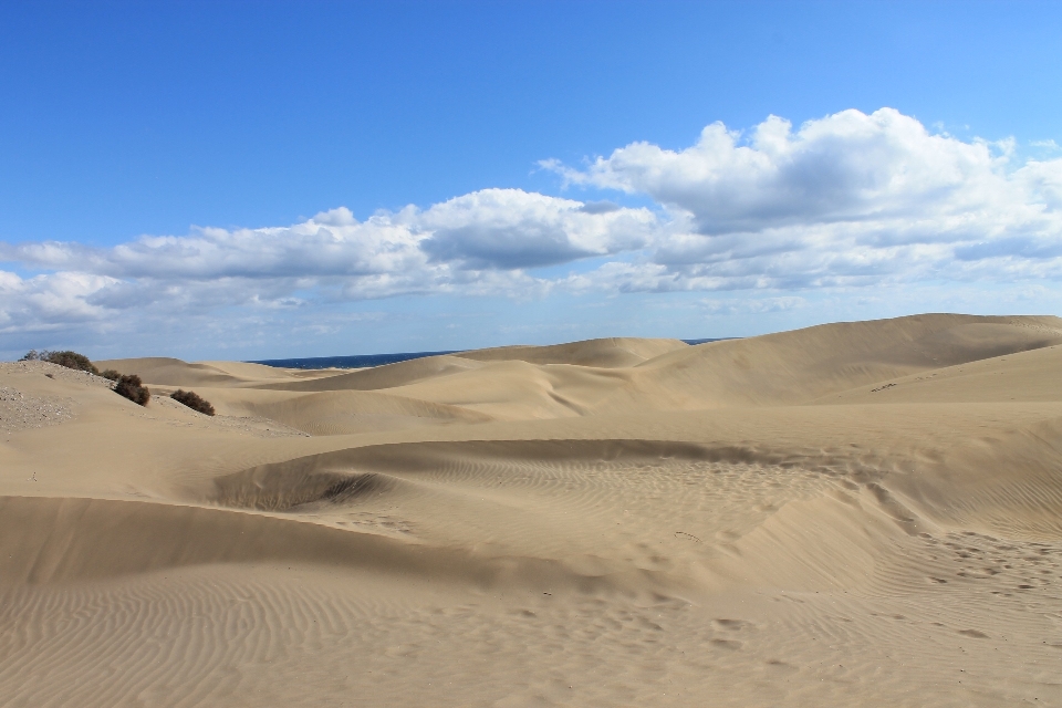 Landschaft sand wüste düne
