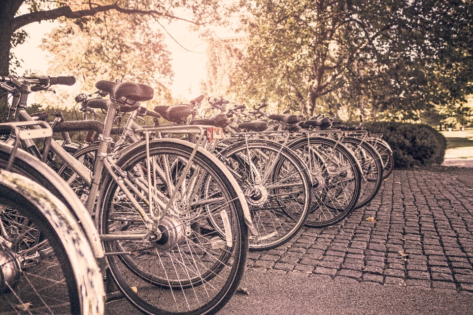 Rad kopfsteinpflaster
 fahrrad fahrzeug