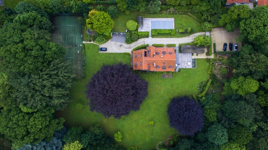 Foto Grama fazenda mansão
 casa