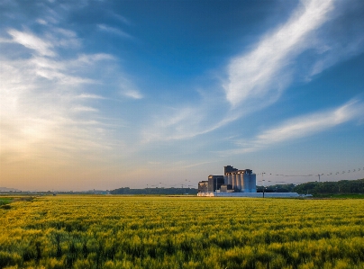 Landscape grass horizon cloud Photo