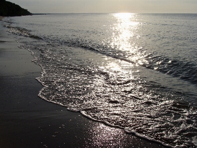 海滩 海 海岸 水 照片