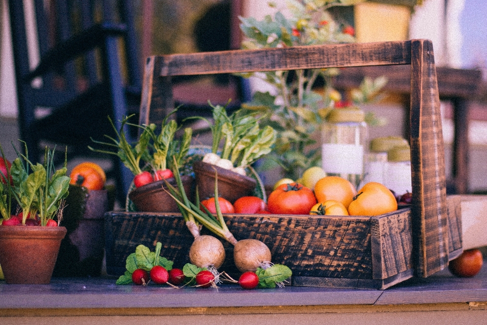 Flower rustic meal food