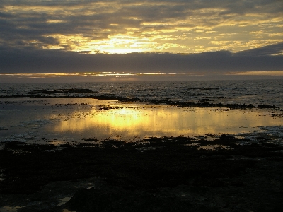 Beach sea coast rock Photo