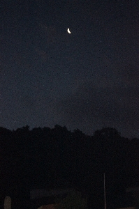 Foto Bosque nube cielo noche