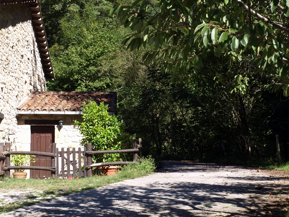 木 建築 農場 家