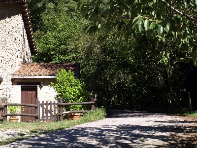 Tree architecture wood farm Photo