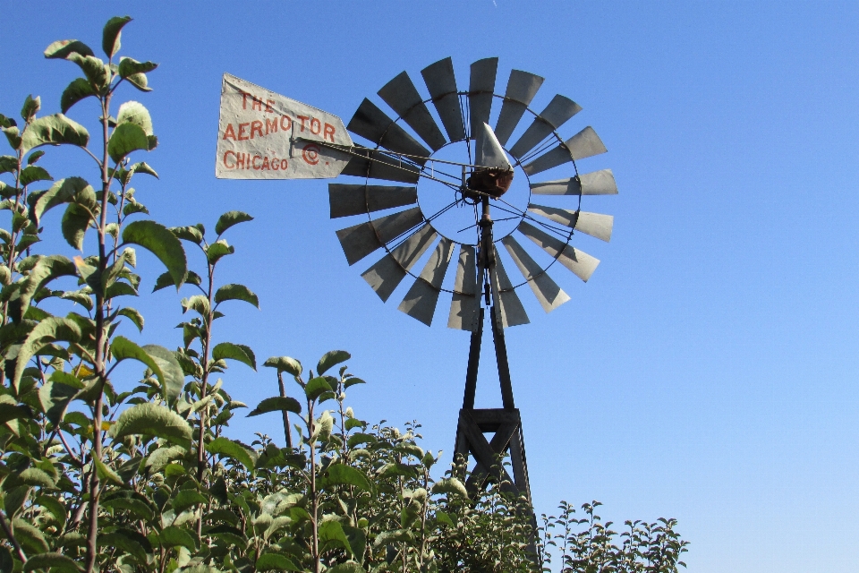 Azienda agricola campagna mulino a vento