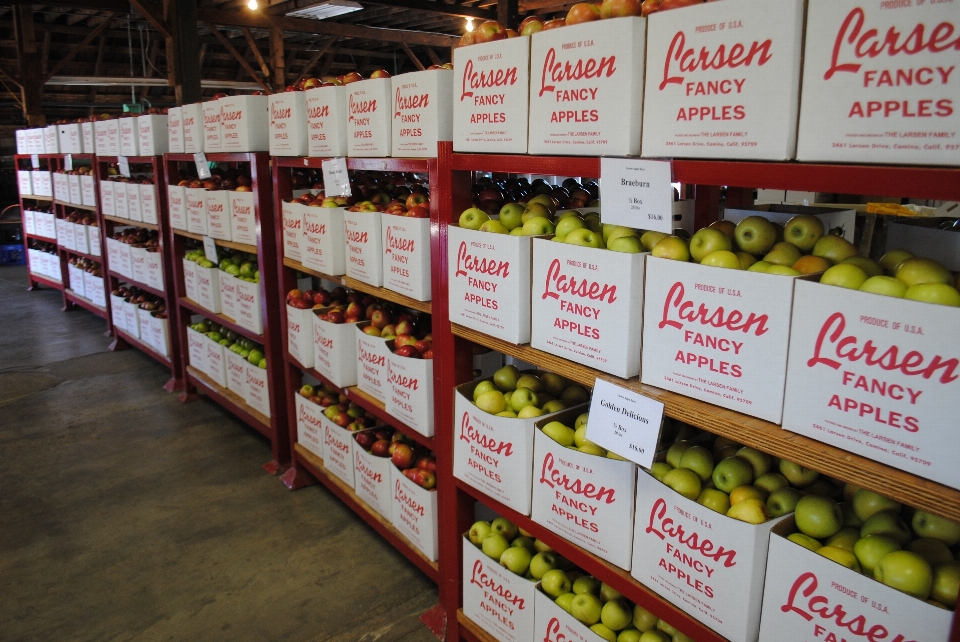 Fruit food california warehouse