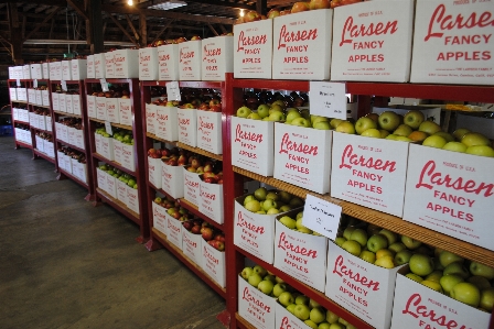 Fruit food california warehouse Photo