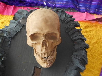 Skull sculpture art temple Photo